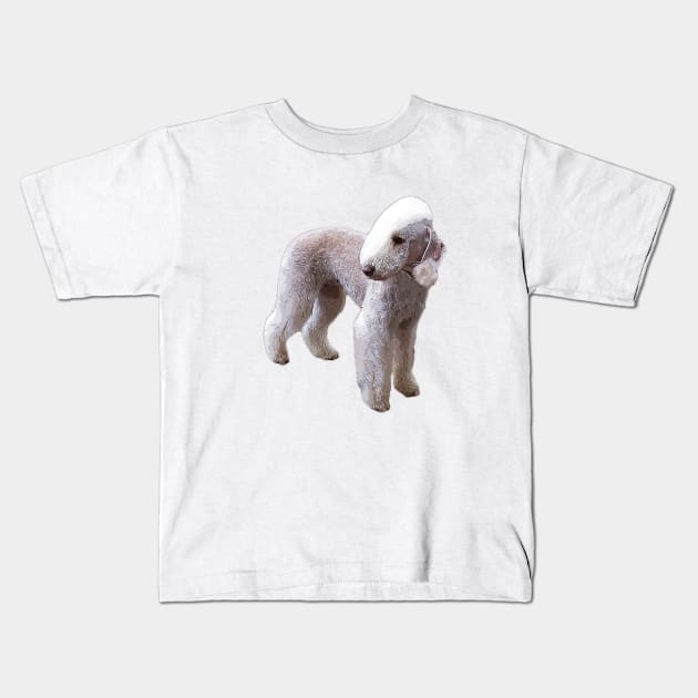 Bedlington Terrier Kids T-Shirt by ElegantCat